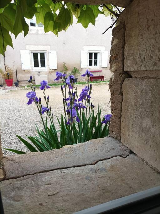 Gite De Charme - 3 Chambres, 5 Lits - De 4 A 7 Personnes Avanton Exterior photo